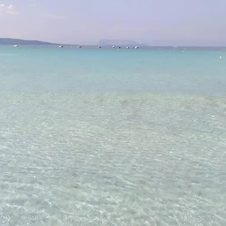 Confortevole Indipendente A 3 Chilometri Dal Mare شقة *